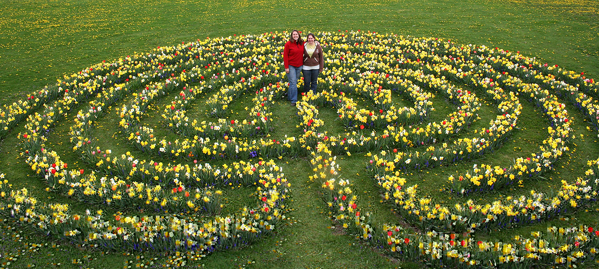 1200px x 539px - Flower bulb labyrinth, Annual Flower Research at Bluegrass Lane,  Horticulture Section, Cornell University