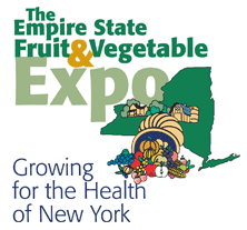 expo logo