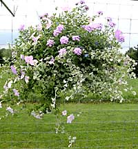 Wallkill View Farm	Peter Ferrante	New Paltz, NY