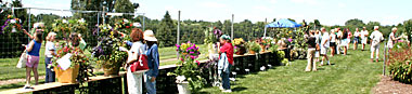 Floriculture field day participants view container contest entries.