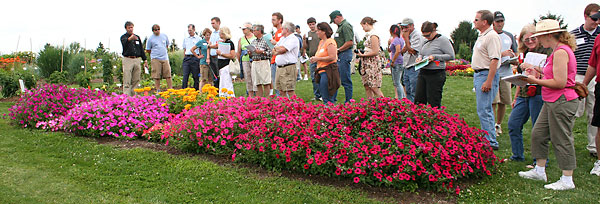 Floriculture field day participants view annual flower trials at Bluegrass Lane.
