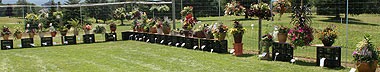 Floriculture field day participants view test plantings at Bluegrass Lane.