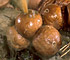 Puffballs