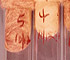 <i>Streptomyces scabies</i>