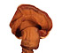 Varnished Conk