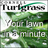 Your lawn in a minute