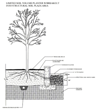 Limited soil volume planter detail